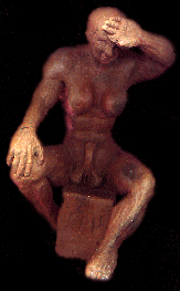 Hermaphrodite & Co